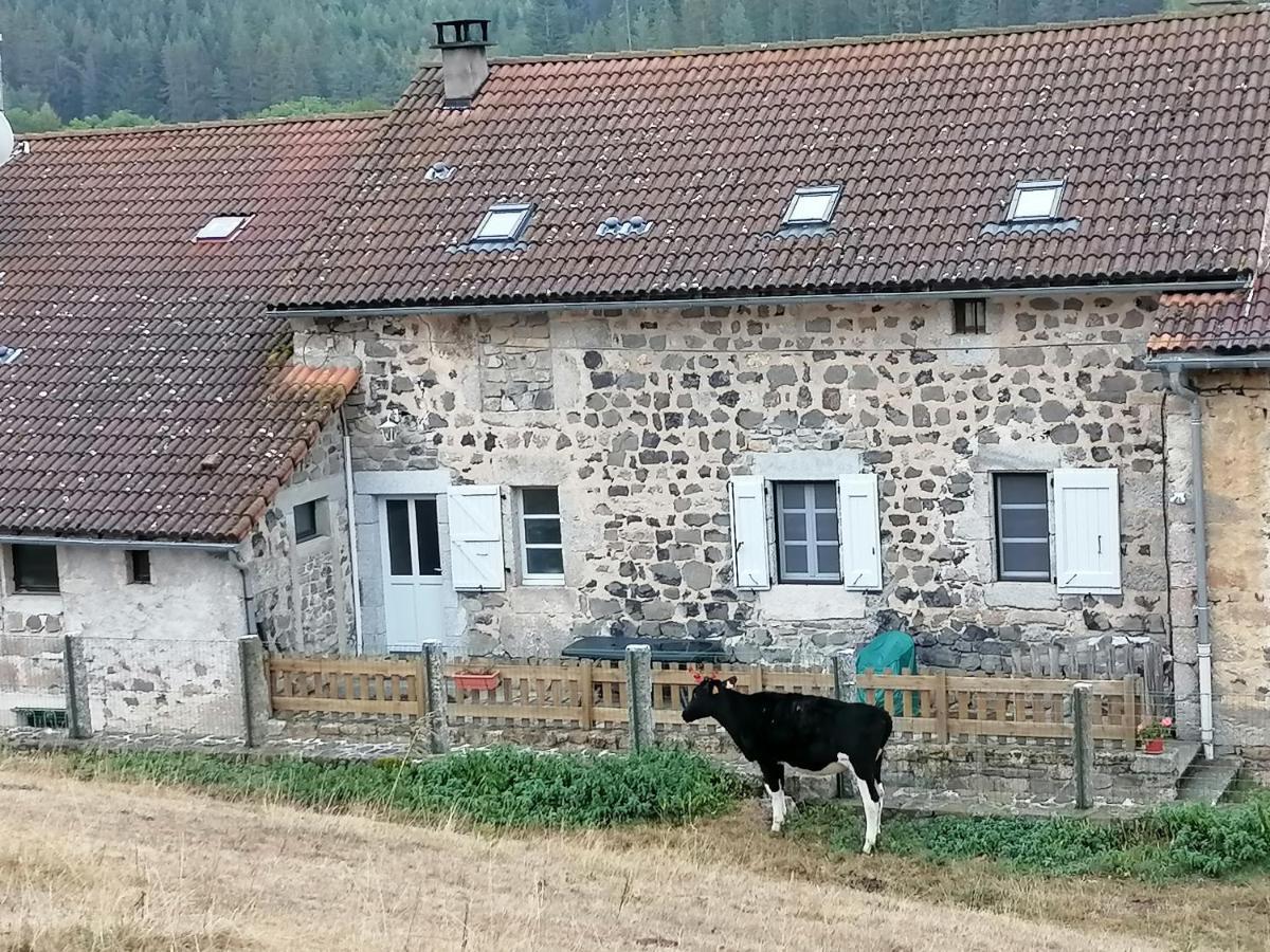 Gite a la ferme Le Malzieu-Ville Esterno foto