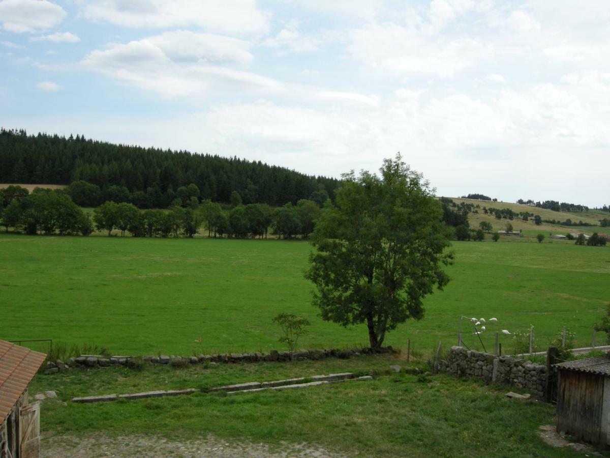 Gite a la ferme Le Malzieu-Ville Esterno foto